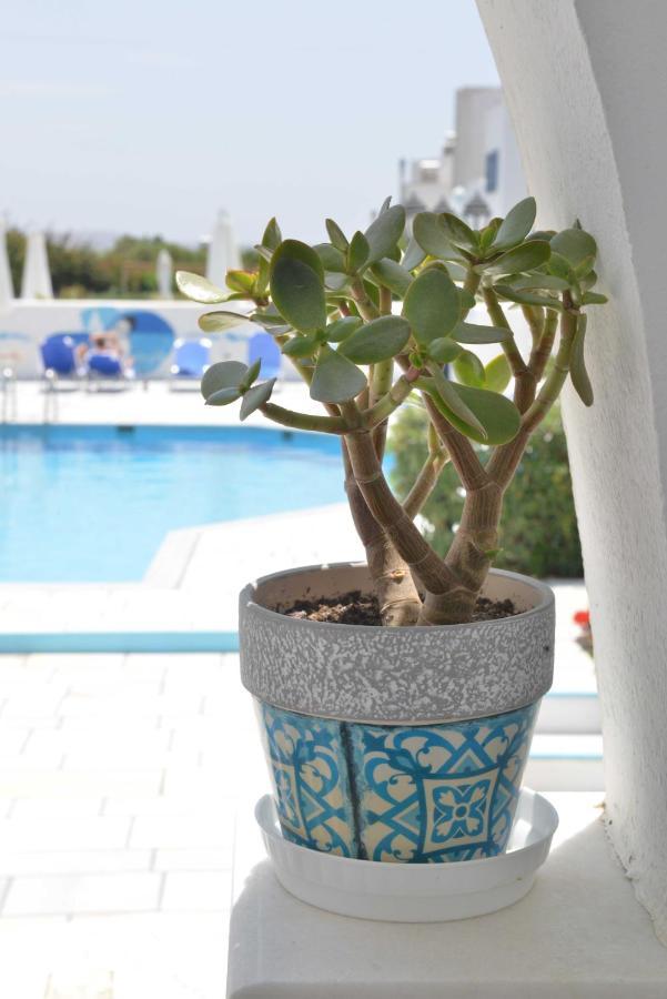 Dedalos Studios Naxos Naxos City Extérieur photo