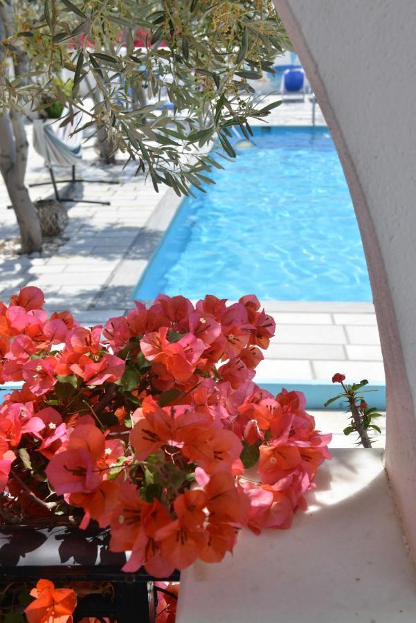 Dedalos Studios Naxos Naxos City Extérieur photo
