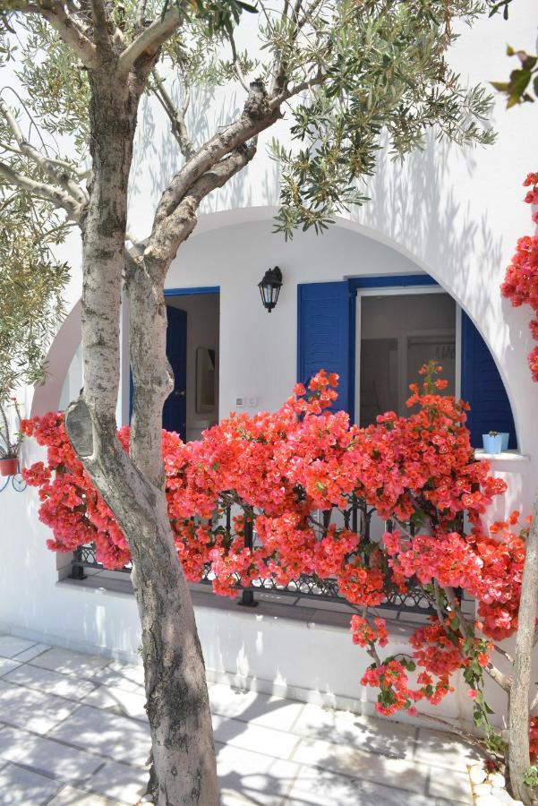 Dedalos Studios Naxos Naxos City Extérieur photo