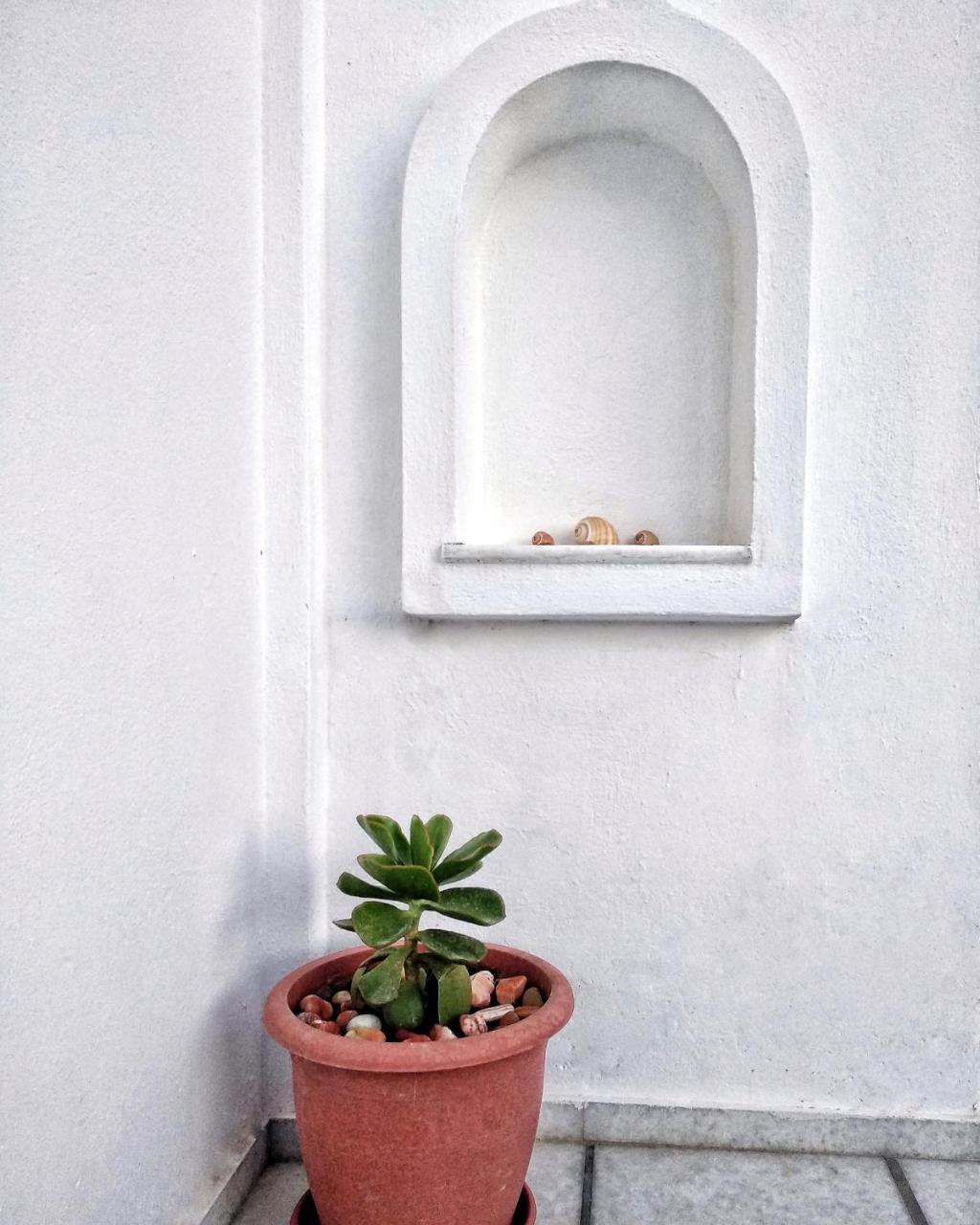 Dedalos Studios Naxos Naxos City Extérieur photo
