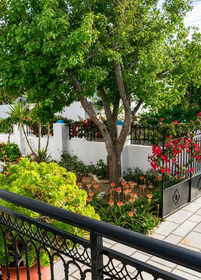 Dedalos Studios Naxos Naxos City Extérieur photo